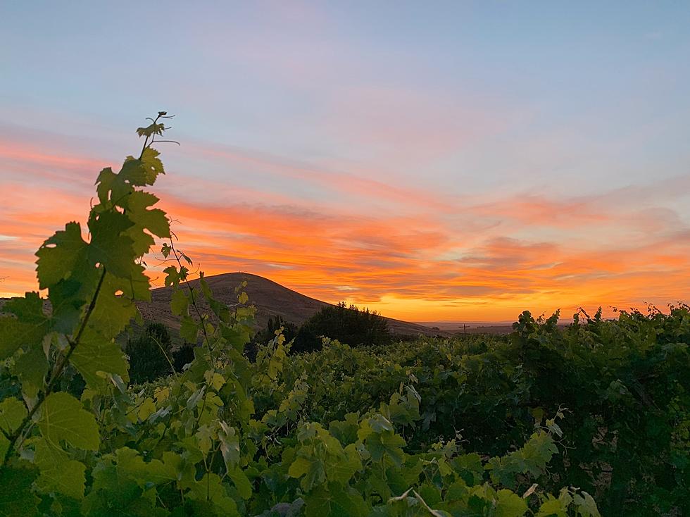 Candy Mountain is Washington Wine Country&#8217;s Latest Prized Piece