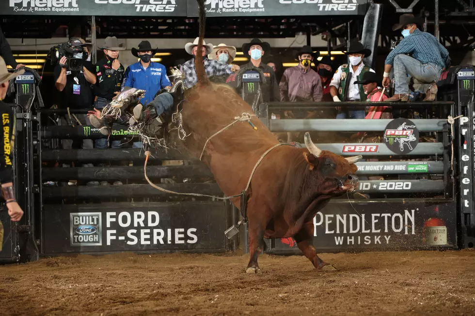 The Bulls#!+ in Prosser is Some of the World’s Bucking Best