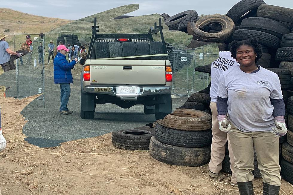 The Benton County Mosquito Tire Collection Drive Was a Huge Success