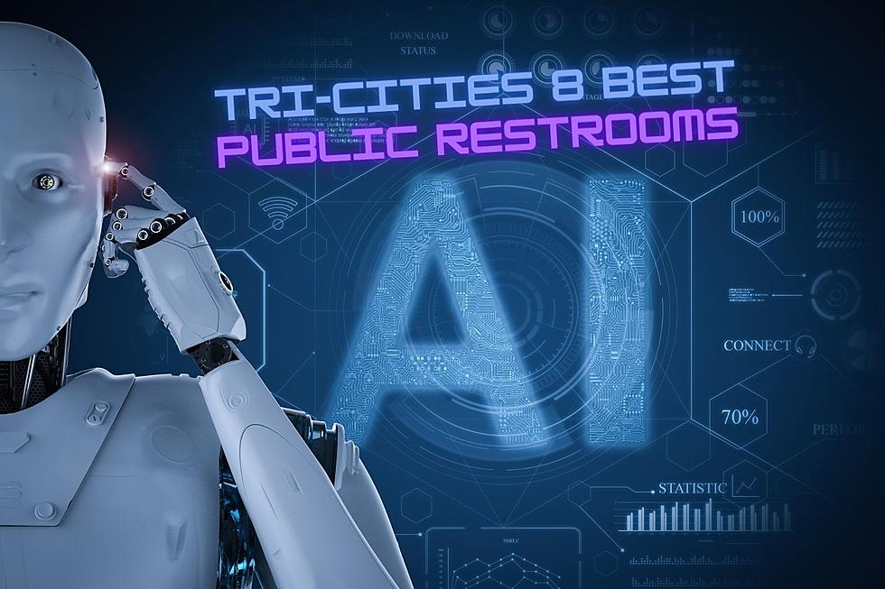 A.I. Says These 8 Tri-Cities Spots Have the Best Public Bathrooms