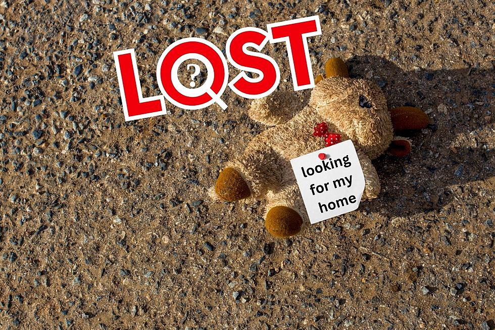 Help WSDOT Find Home of This Stuffed Animal Lost on WA Highway