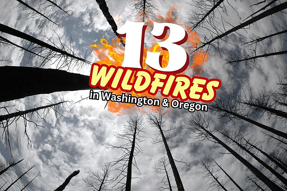 Washington & Oregon: See 13 Wildfires Still Burning August 2023