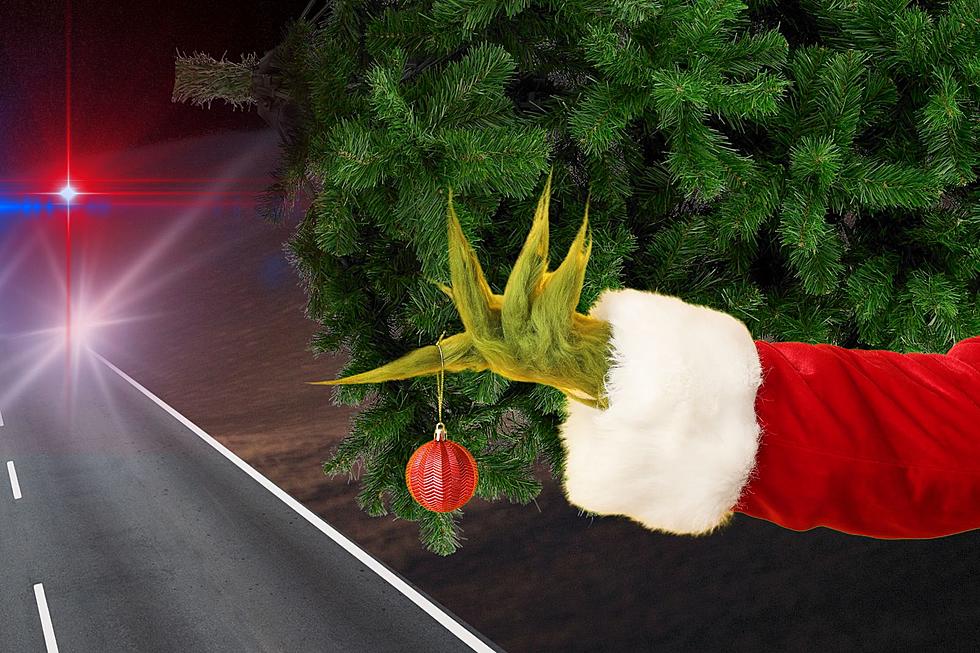 Tri-Cities Police Nab “Grinch” Running with Stolen Christmas Tree