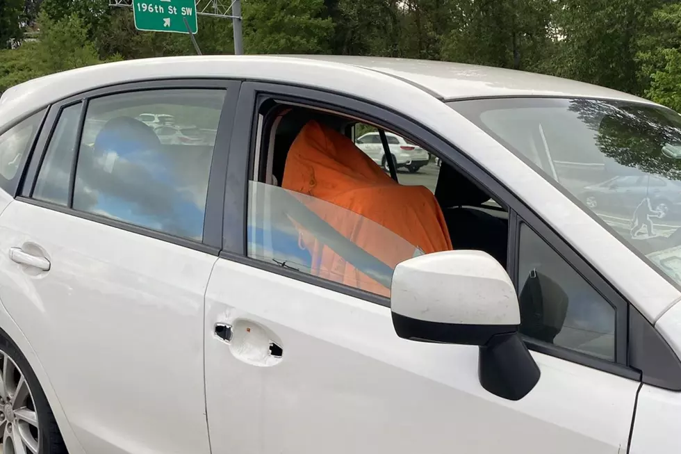 WA I-405 HOV Violator Proves Two Dummies Are NOT Better Than One