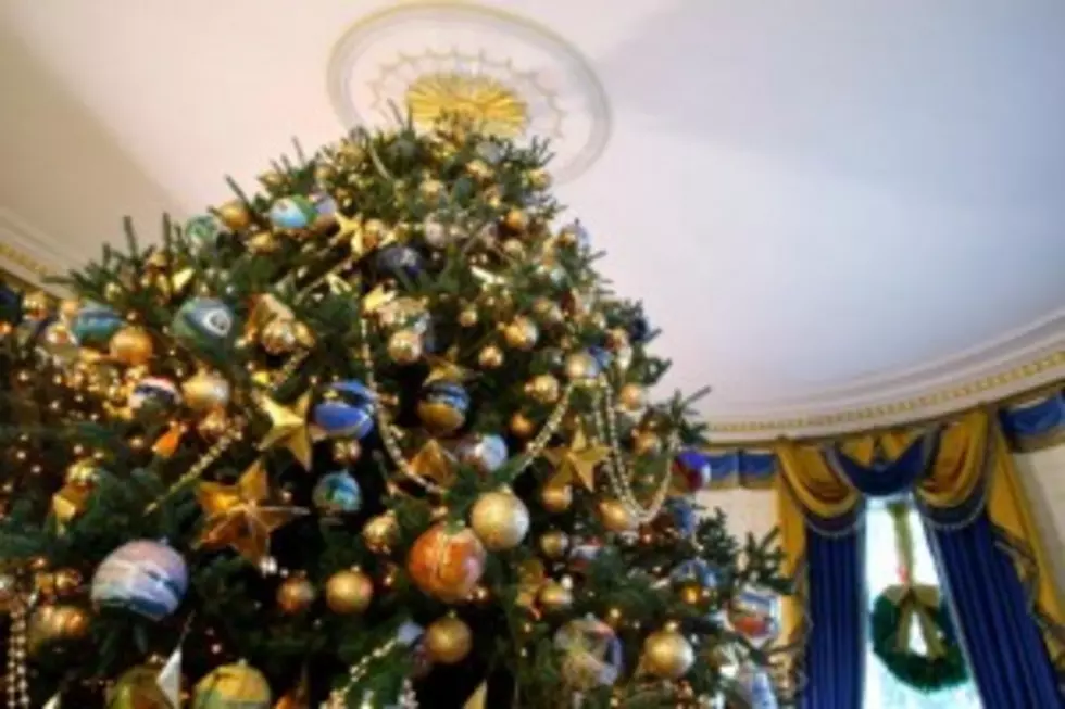 Bah Humbug! Christmas Tree Tax Coming From Feds