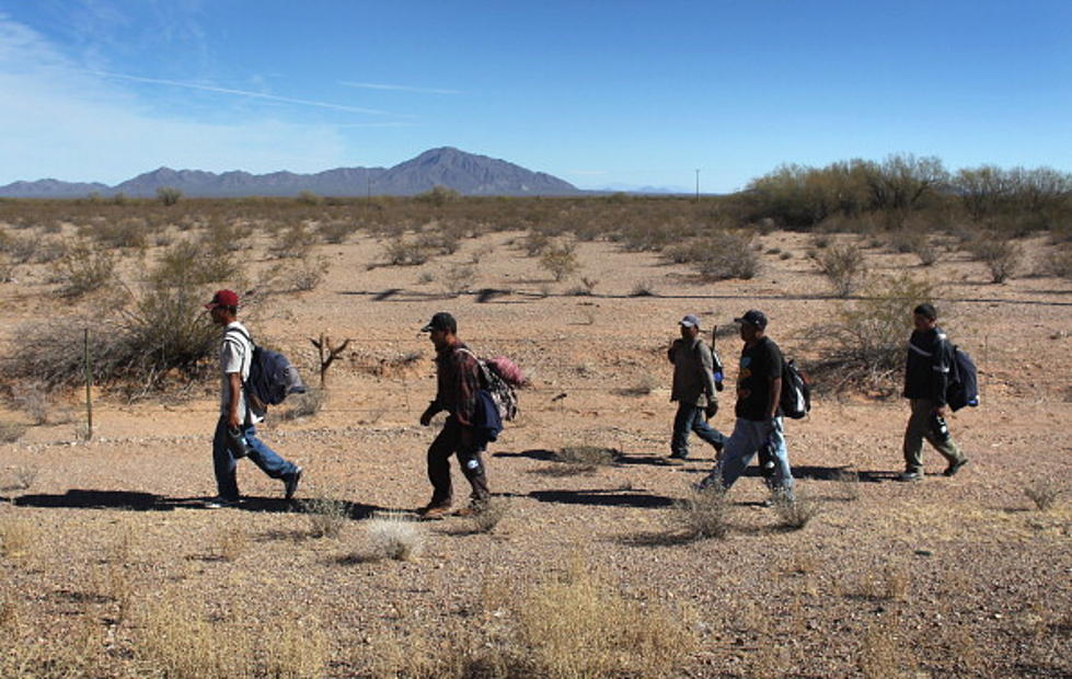 Militias Taking Matters Into Own Hands, Flocking to U.S. Southern Border