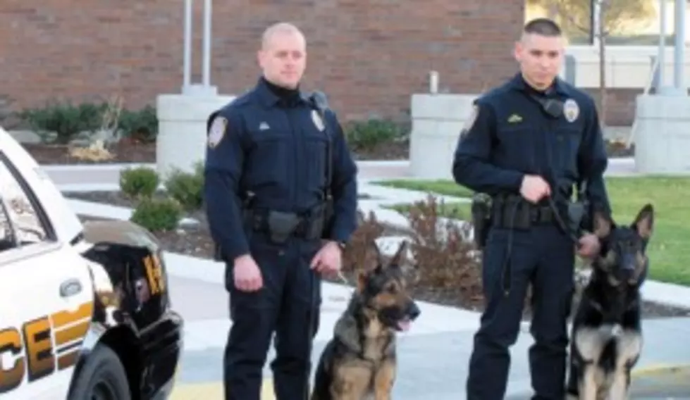 Kennewick Police Dog Chomps Down Domestic Violence Suspect