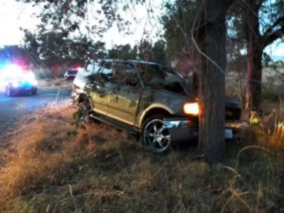 Police Seeking Suspect Who Crashed Car Into Tree