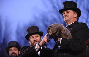 How Accurate Is the Groundhog at Predicting Weather Anyway?