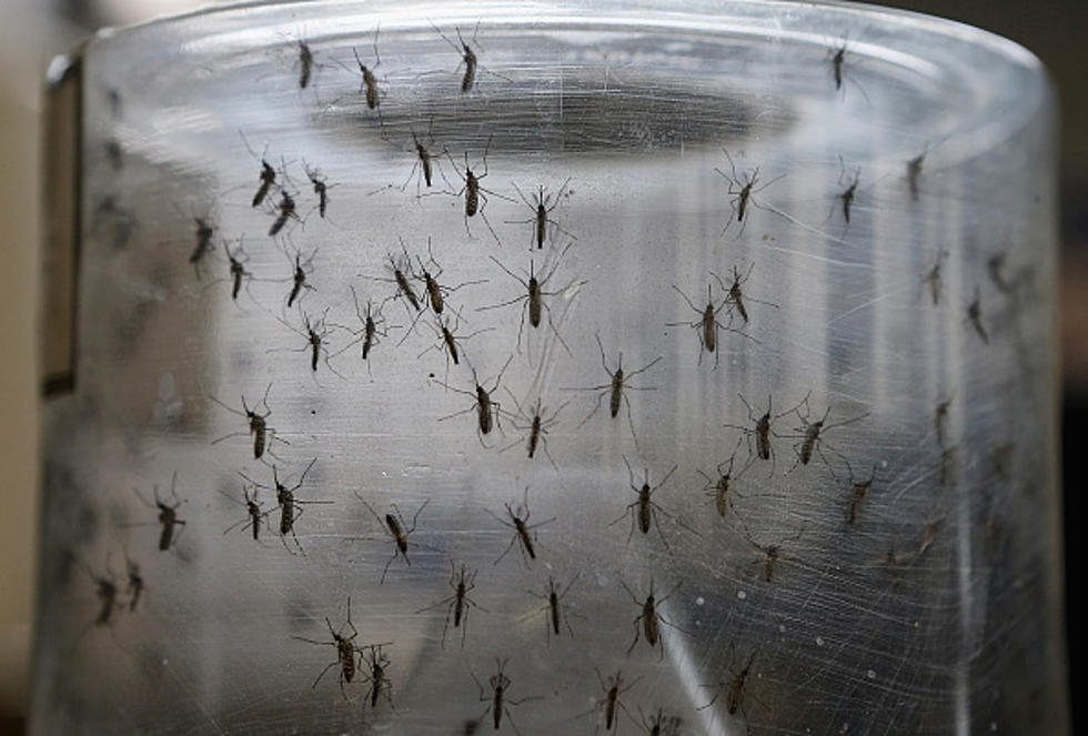First Case of Zika Virus Confirmed in WA, Was International Traveler