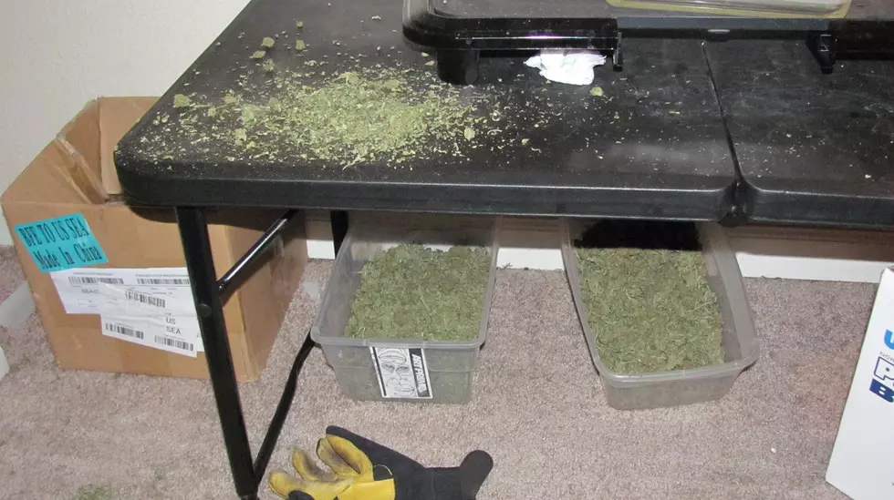 Burglary Victims Won’t Tell Cops What Was Stolen Because It Was POT!