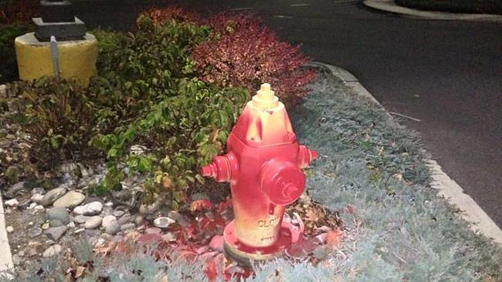 Man Arrested for Painting Fire Hydrant Badly (While On Drugs)