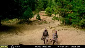 Cops Looking For Men Suspected of Illegally Killing Multiple Elk in Oregon