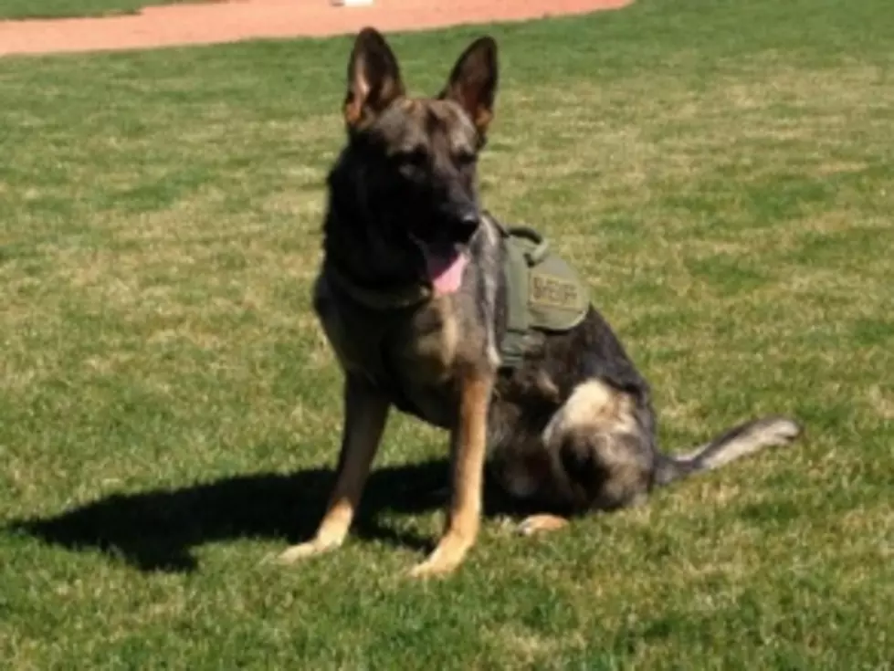 Walla Walla County Sheriff’s K-9 Takes Final Ride After Unexpected Passing [VIDEO]