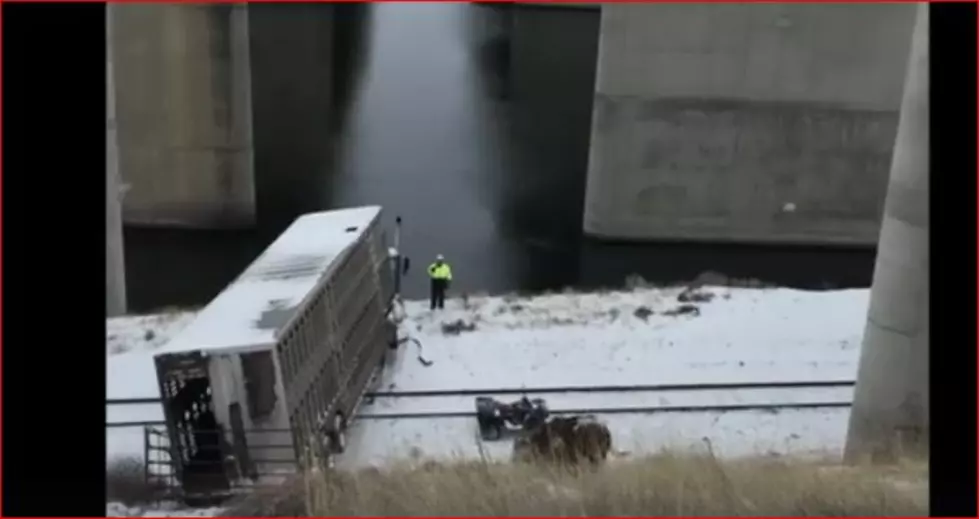 Cattle Truck Nearly Takes Dive Into Snake River [VIDEO]