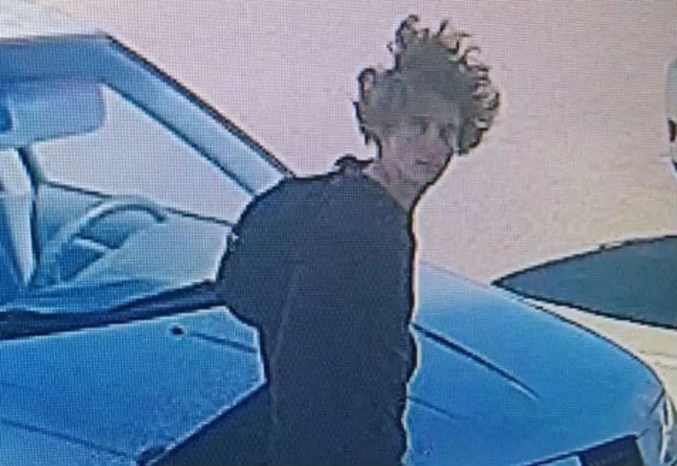 Remarkably Clean Surveillance Photos of Wanted Car Prowler