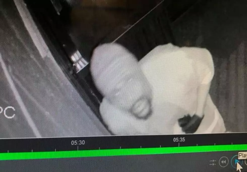 &#8216;Ghostly&#8217; Bar Burglary Suspect Sought by Cops