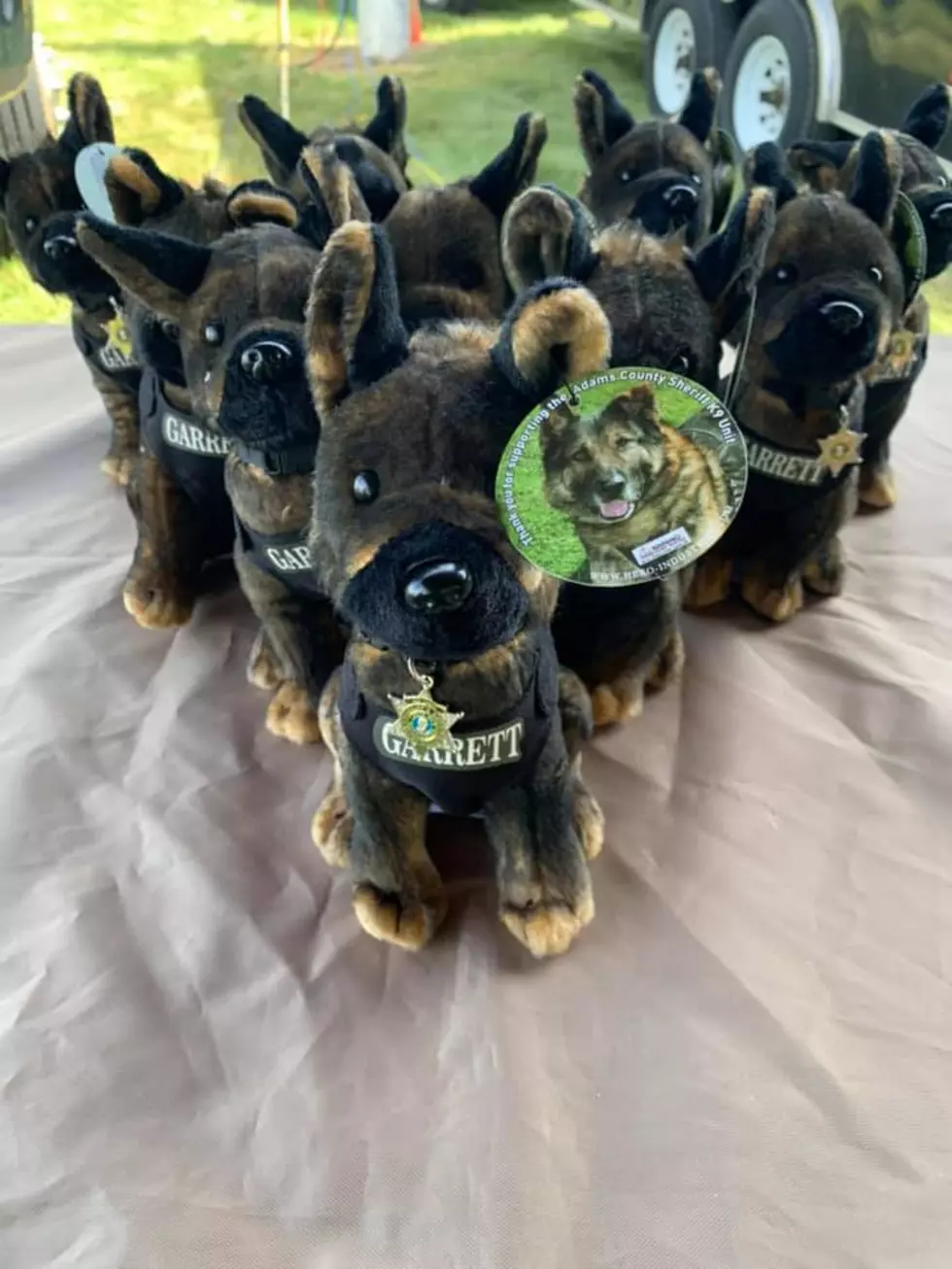 Adams County Selling Adorable ‘Pups’ to Help K-9 Program