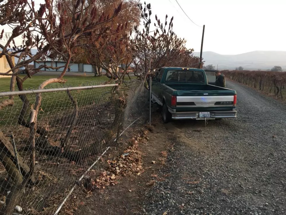 Speeding ‘Uncooperative’ Driver Hammers Fence, Busted by Deputies