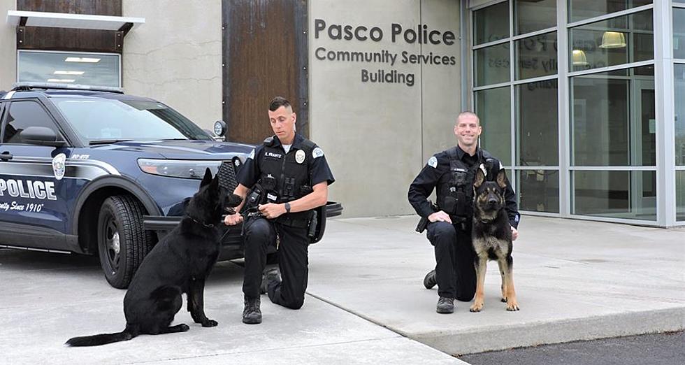 Two New Pasco K-9’s Join The Force–Elan and Brit