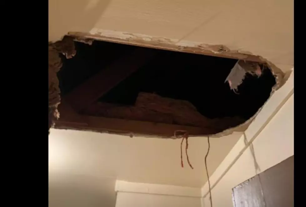Hiding Suspect Falls Through Ceiling Into Neighbor’s Apartment