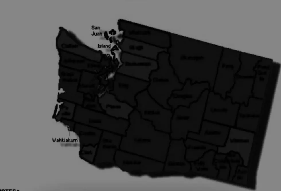 After Final Tallies, How Does WA State Actually Look Vote-Wise?