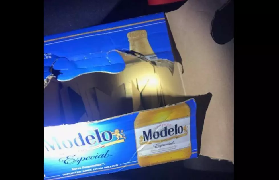 Drunk  Hit And Run Driver Learns Modelo and Motoring Don’t Mix