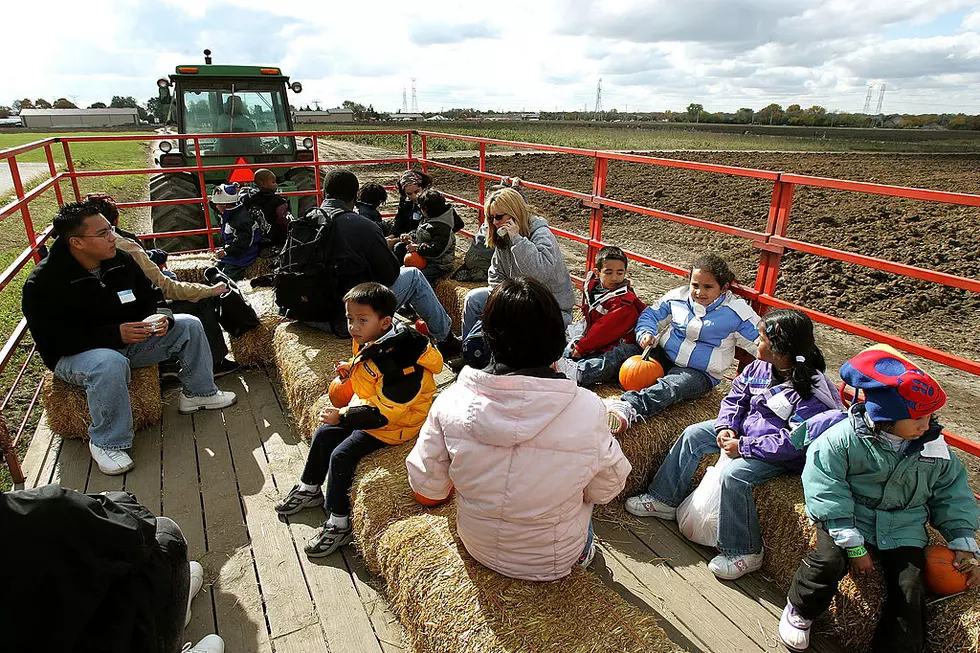 Yay! Hay Rides, Festivals, Agritourism Now Opening in Our Area