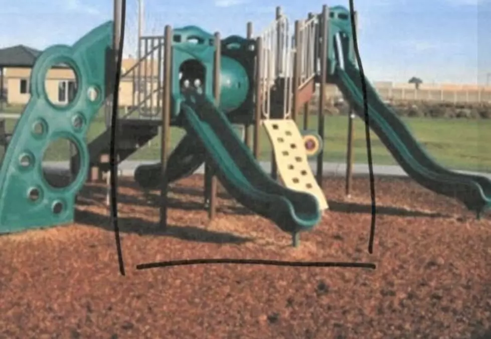 Grinch Steals Entire Playground Structure from Pasco Park