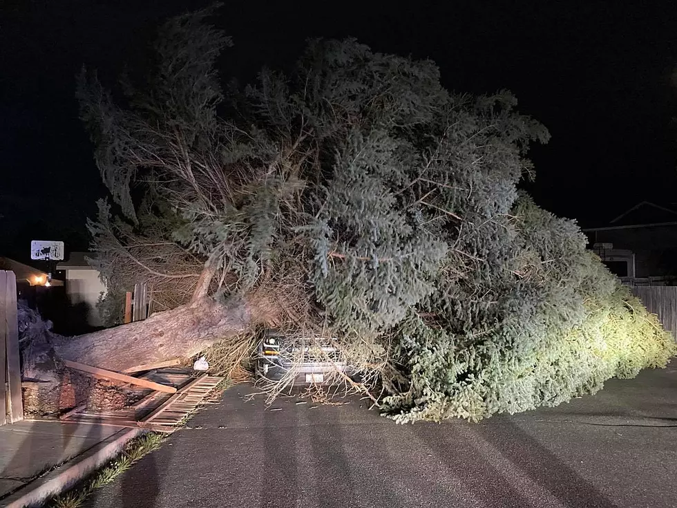 KPD Responds to Massive Windstorm with Community Help