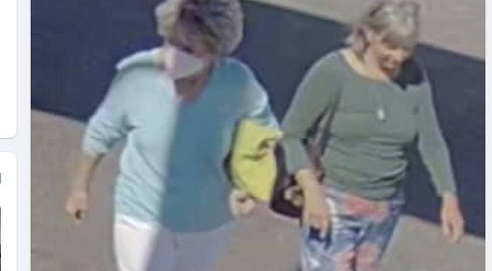 Not Your Typical Hit-And-Run Suspects Sought in Pasco