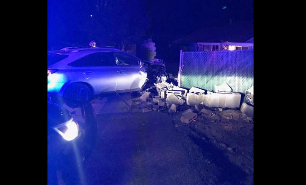 Dog Distracted Driver Fails to Dodge Fence in Late-Night Crash
