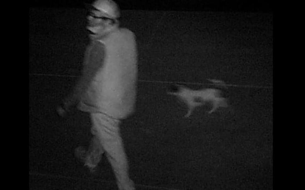 Did New Construction Home Burglars Bring Dog With Them?