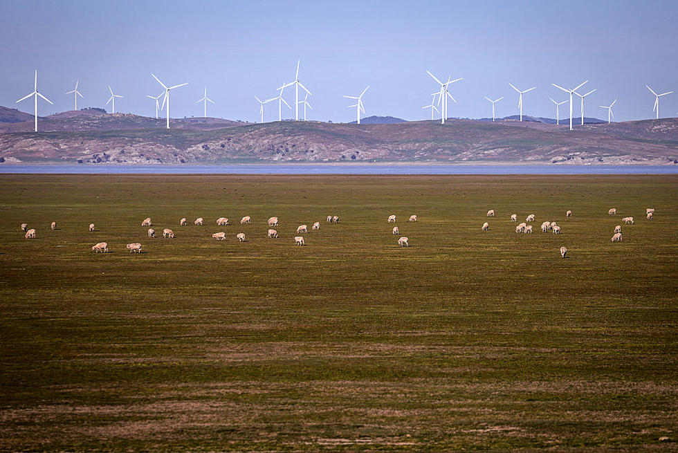 Inslee Veto Kills Most of Wind-Farm ‘Slowdown’ Energy Bill
