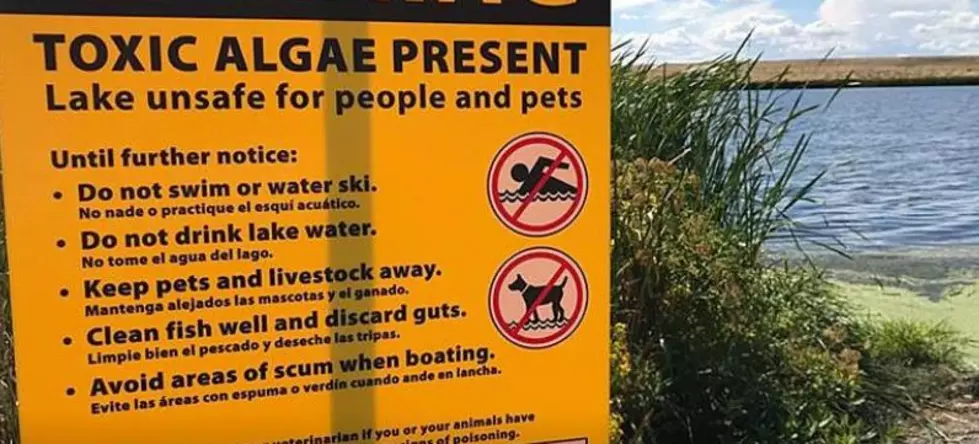 Officials Testing for Toxic Algae Again This Summer