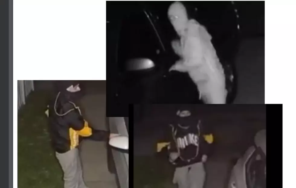 “Ghostly” Car Prowler Sought in West Richland