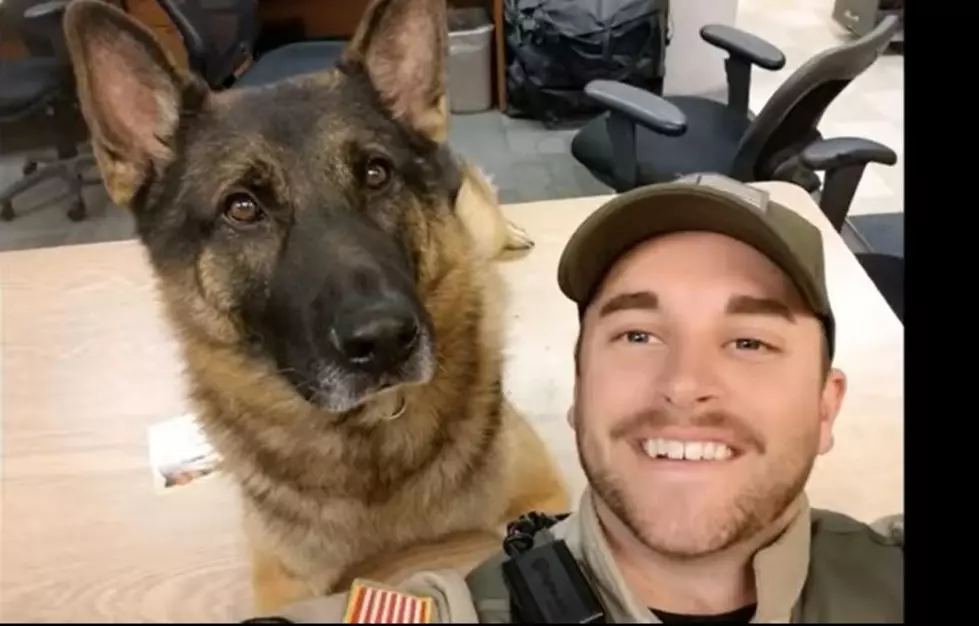 Watch Touching Tribute to Adams County K-9 Who Passed Away