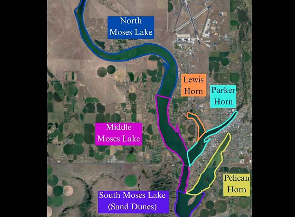Update-Algae Blooms Now Affecting Nearly All of Moses Lake
