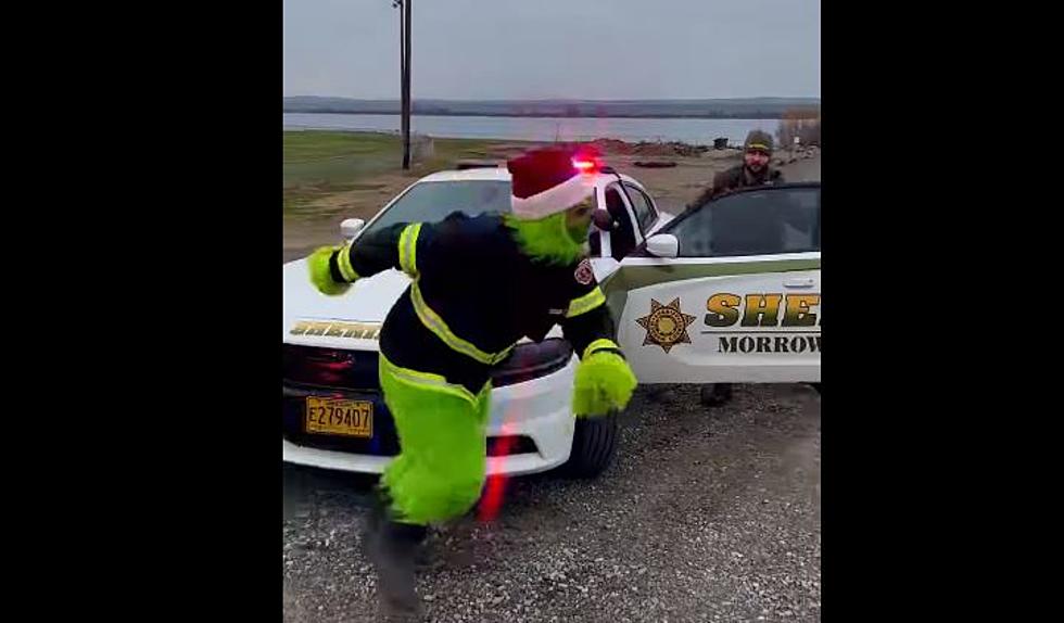 The Grinch Won’t Steal Christmas, At Least Not in Oregon [VIDEO]