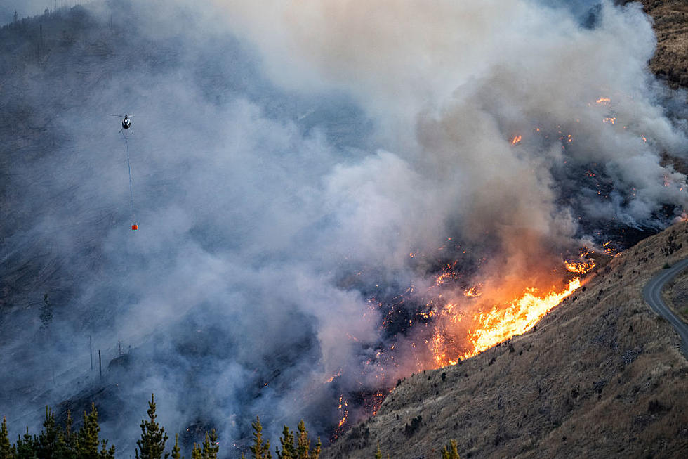 Feds Designate 2023 Deadly Medical Lake Gray Fire A Disaster Area