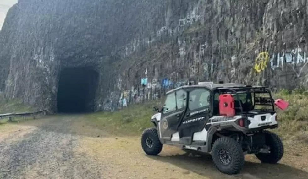 Car Thieves Busted Stripping Stolen Car in Tunnel Near Plymouth