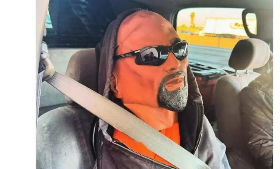 Despite “Next-Level” Modeling, CA Driver Busted for Carpool Dummy