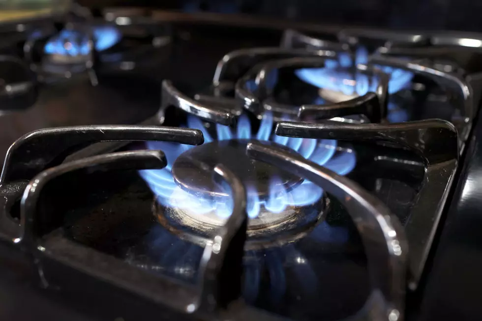 2 Renewable Natural Gas Projects Go Online in Tri-Cities