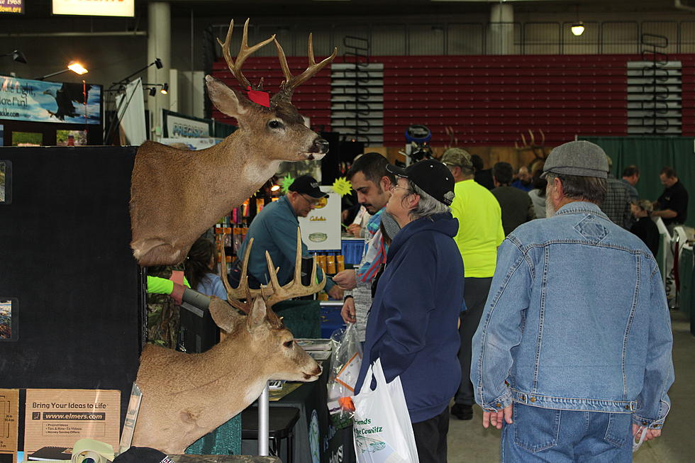 Sportsmen Show's in the Dome -- Take a Walk On the Wild Side