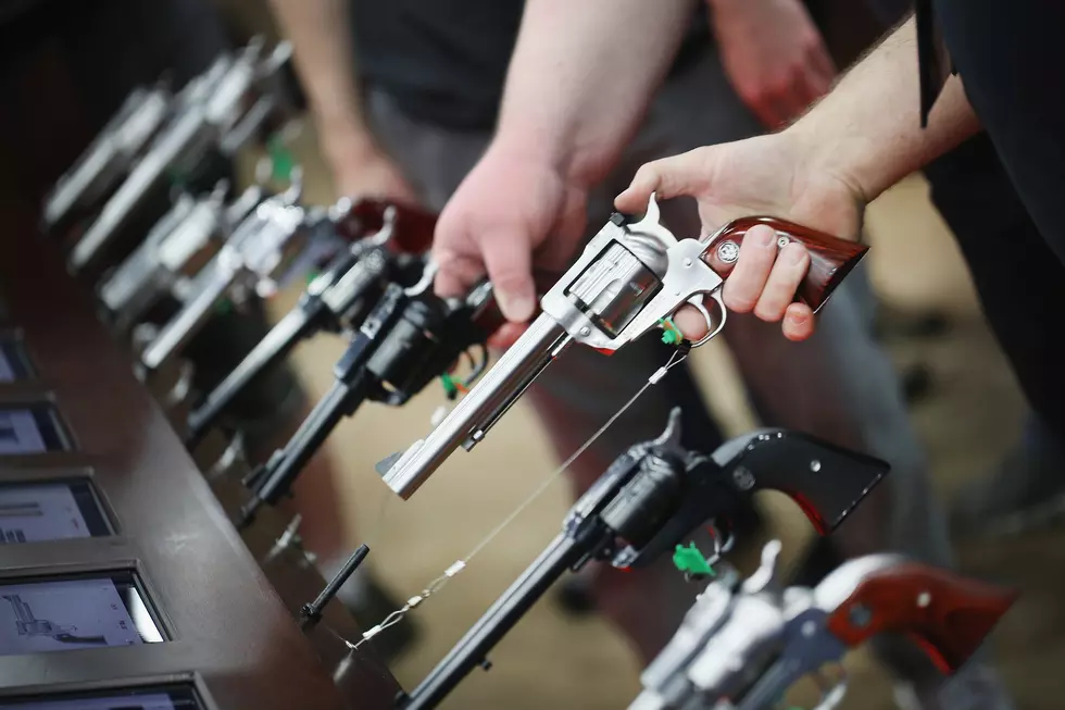 4 States to Weigh Tougher Gun Control in Nov. 8 Election
