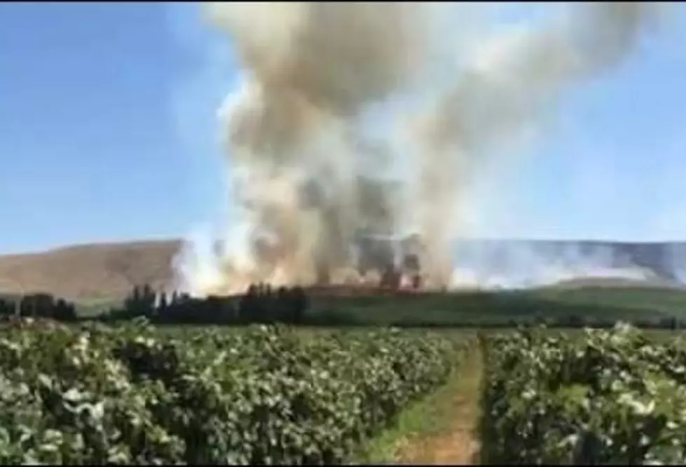 Thorp Rd. Wildfire Increasingly Encroaches Upon East Valley Farmland  [VIDEO]