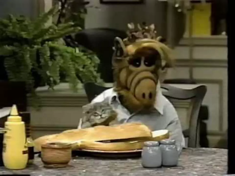 Timmy’s 2 Cents: ‘ALF’ Reboot Happening! But We Could Use a New Alien!