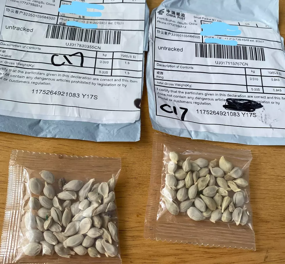 What in the AF? ‘Mystery Seeds’ Being Sent in Mail From China!