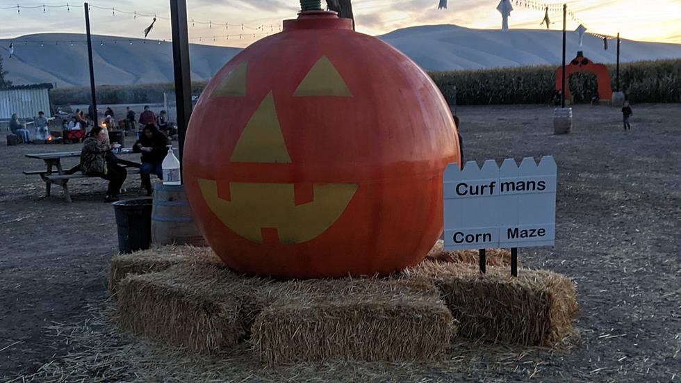 Oh, the Fun You’ll Have at Curfman’s Massive Corn Maze [PHOTOS]