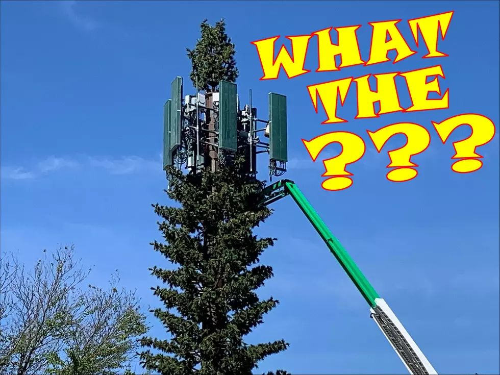Cell Towers Are Trying To Blend In